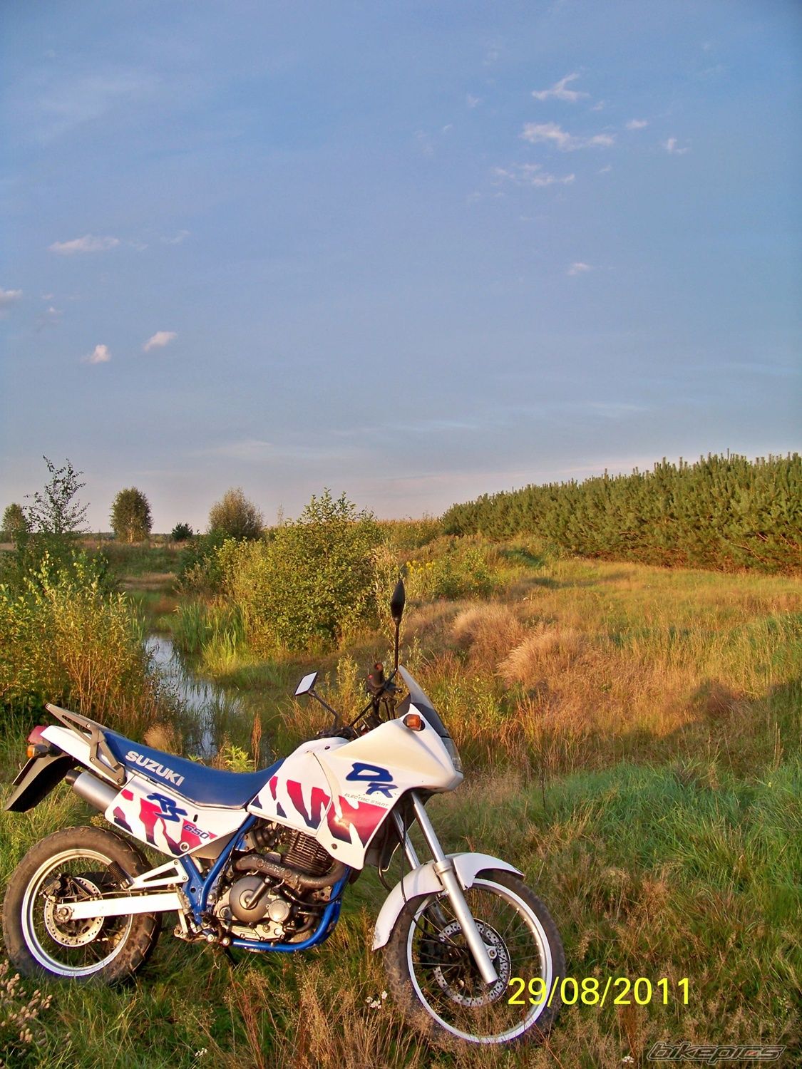 Photo 2264409