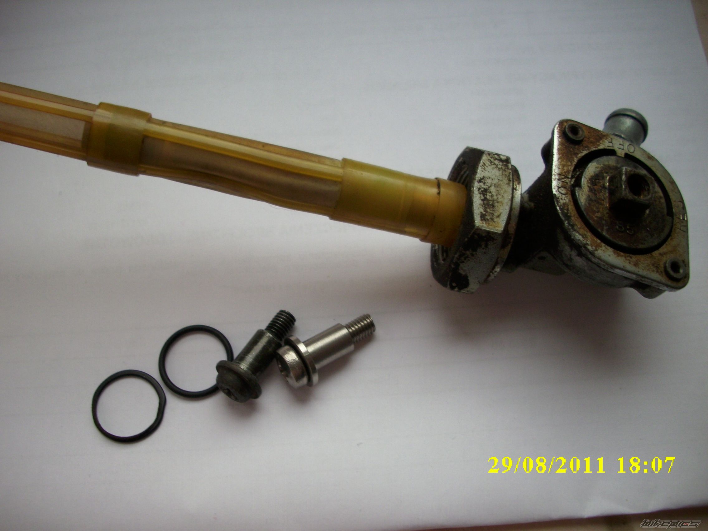 Photo 2264445