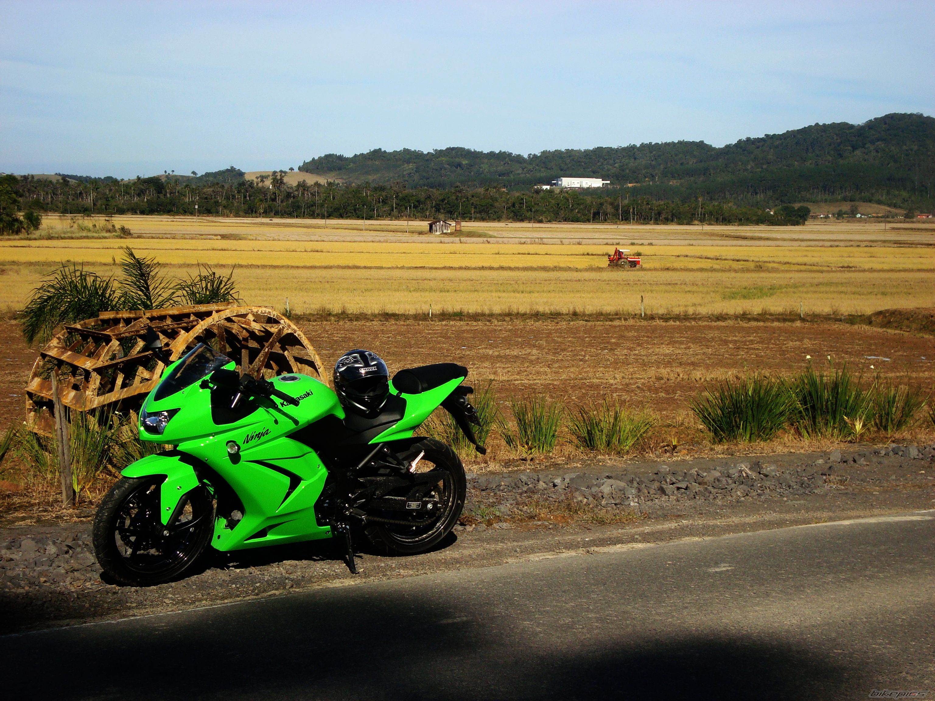 Photo 2264465