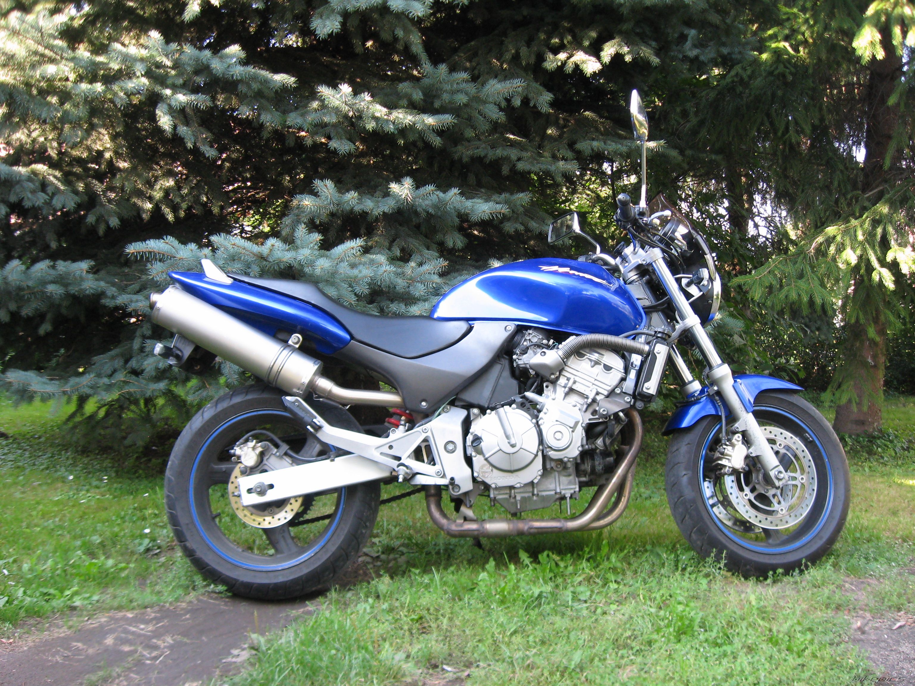 Photo 2264491