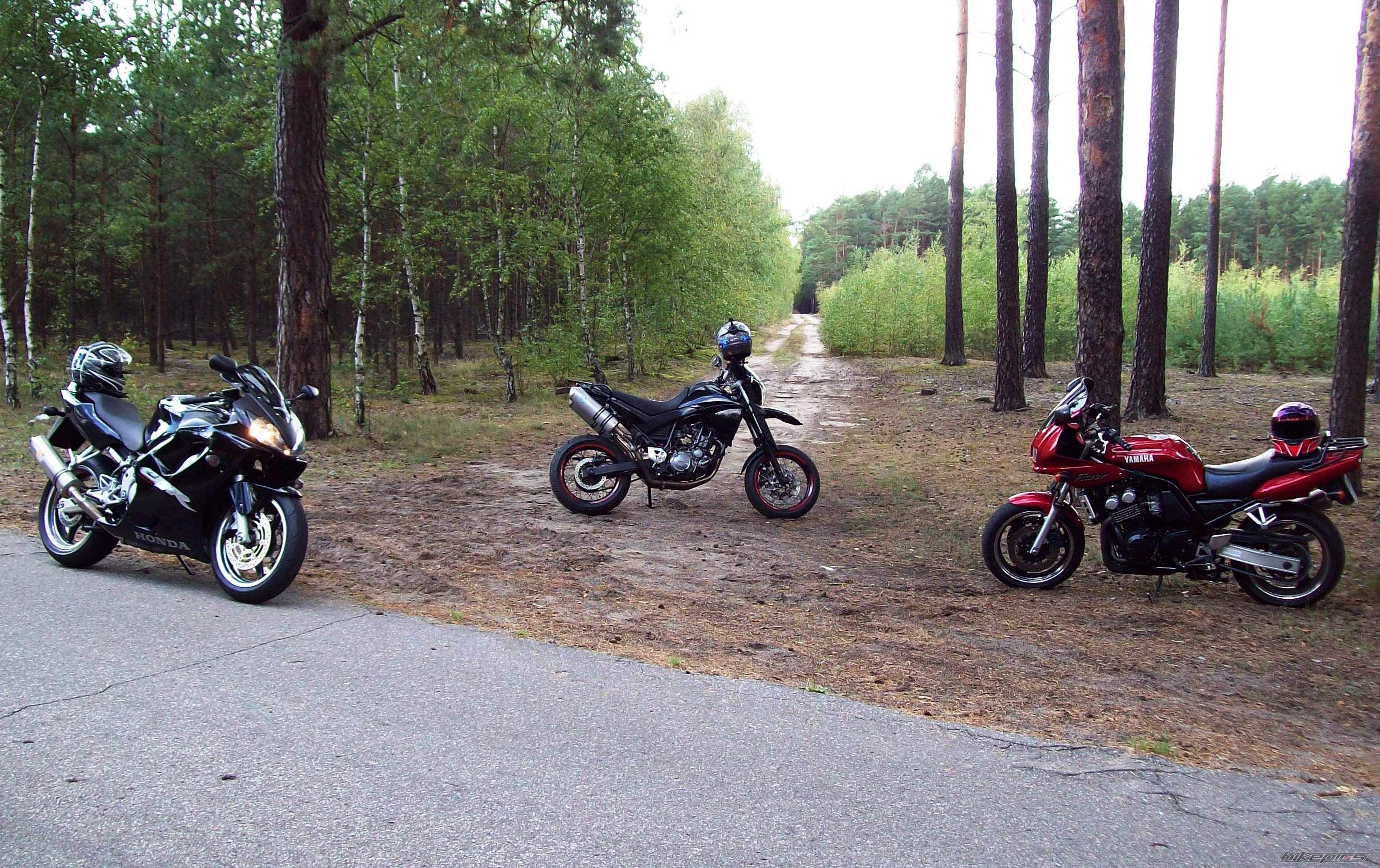 Photo 2264493