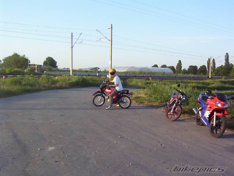 Photo 226464
