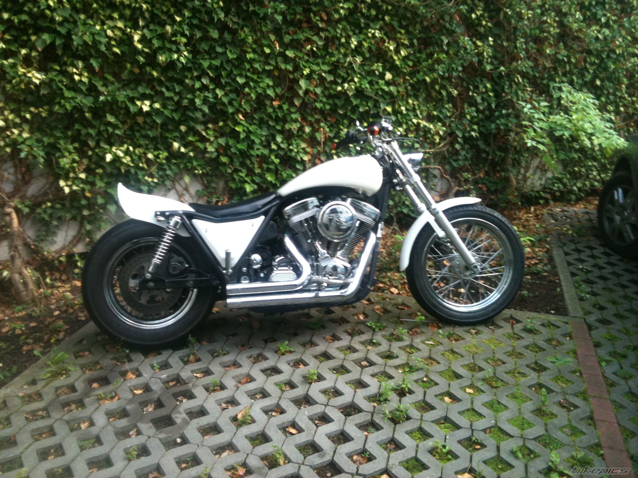 Photo 2264648