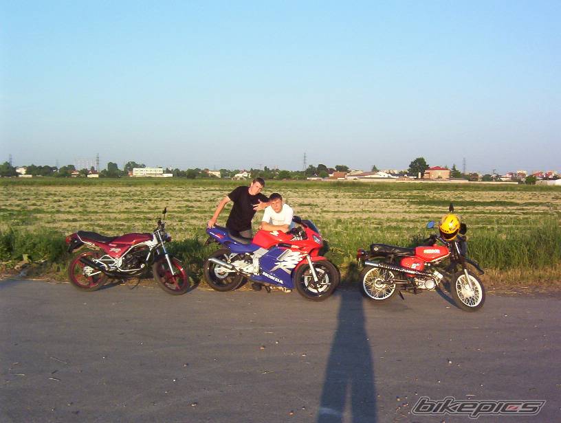 Photo 226465