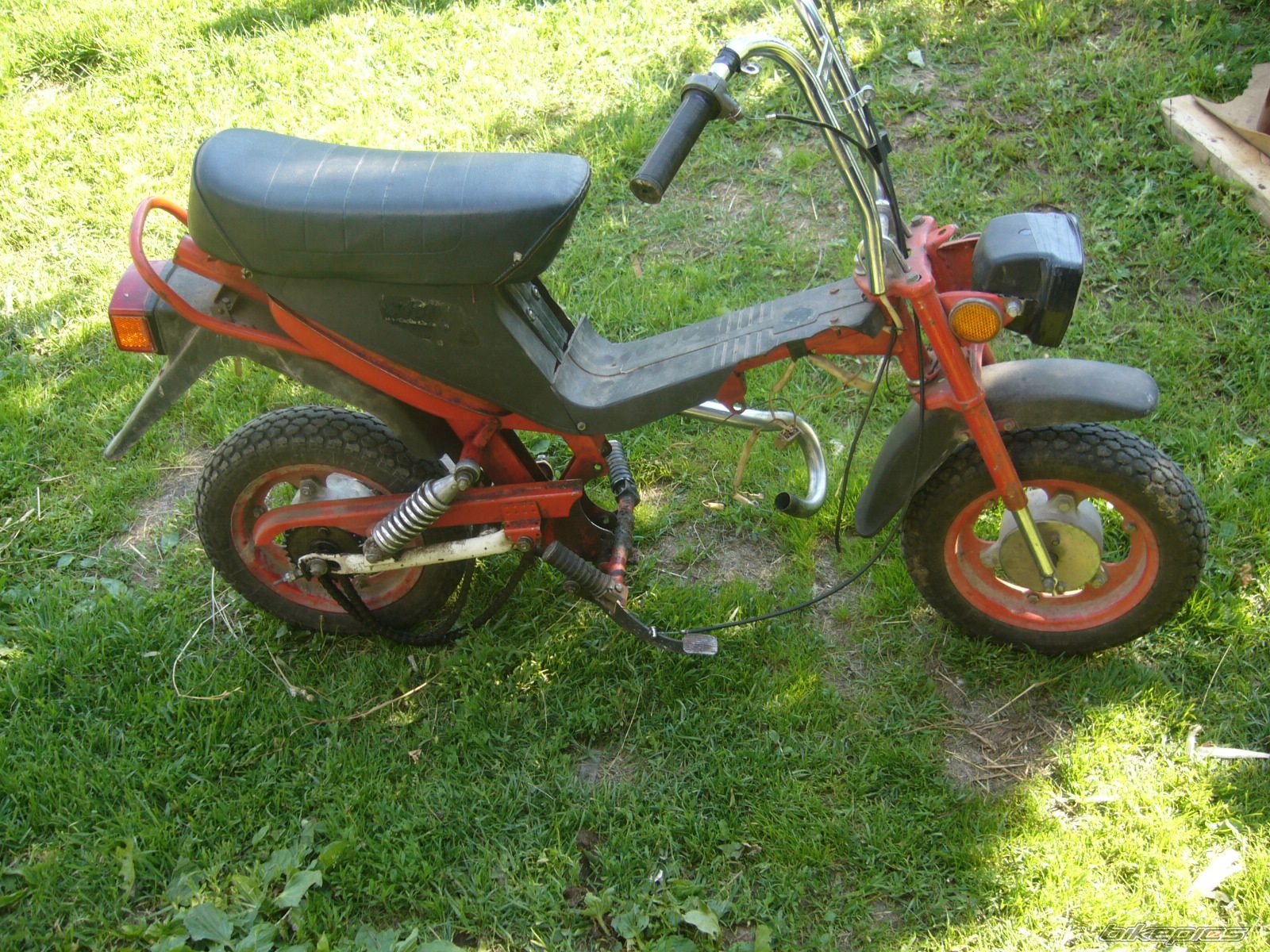 Photo 2264753
