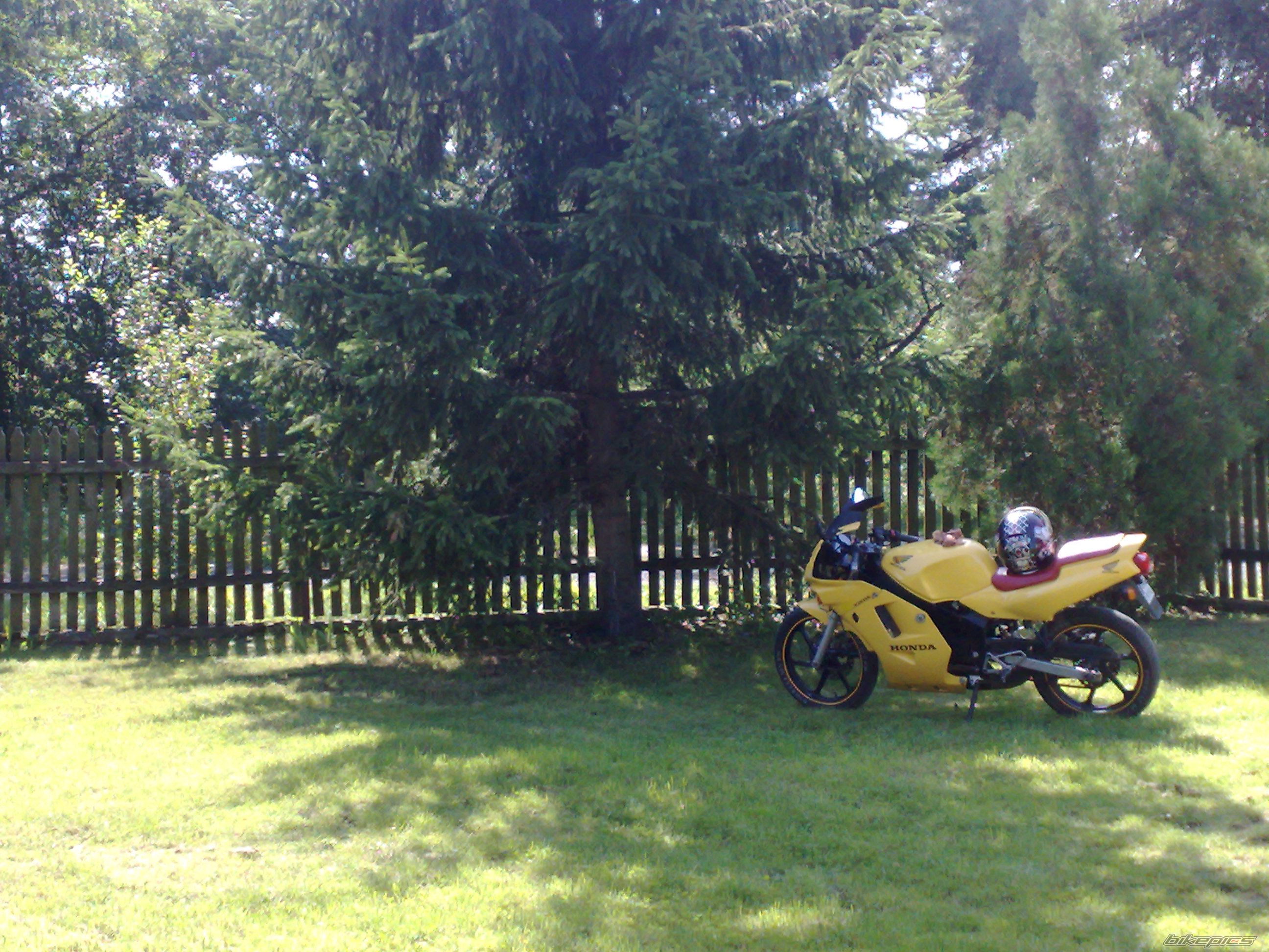 Photo 2264793