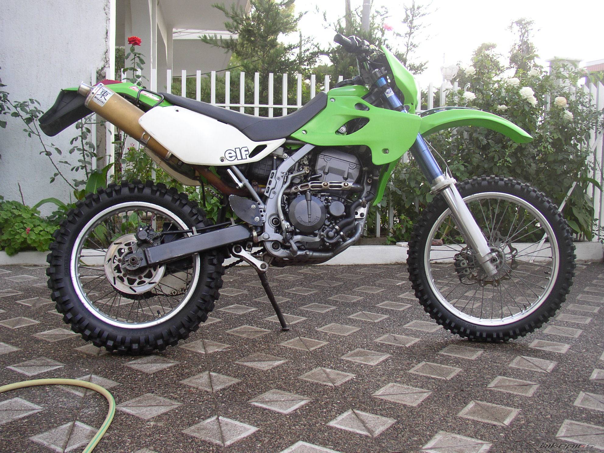 Photo 226481