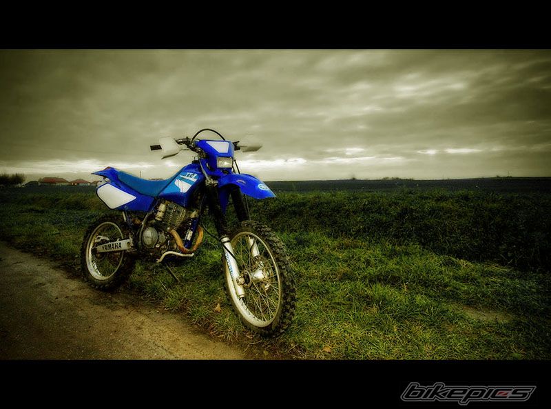 Photo 2264834