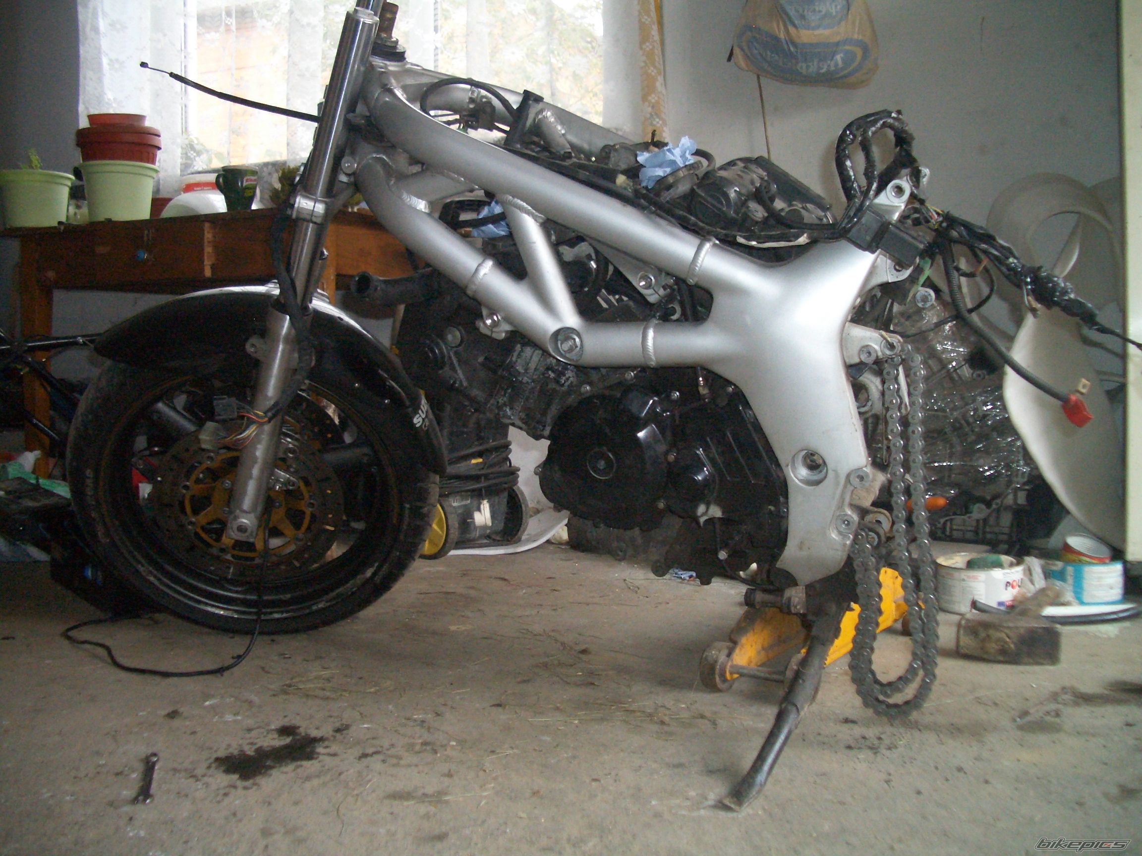 Photo 2264935