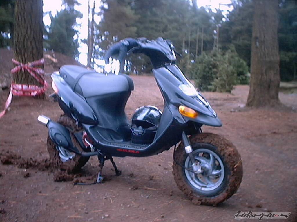 Photo 226495
