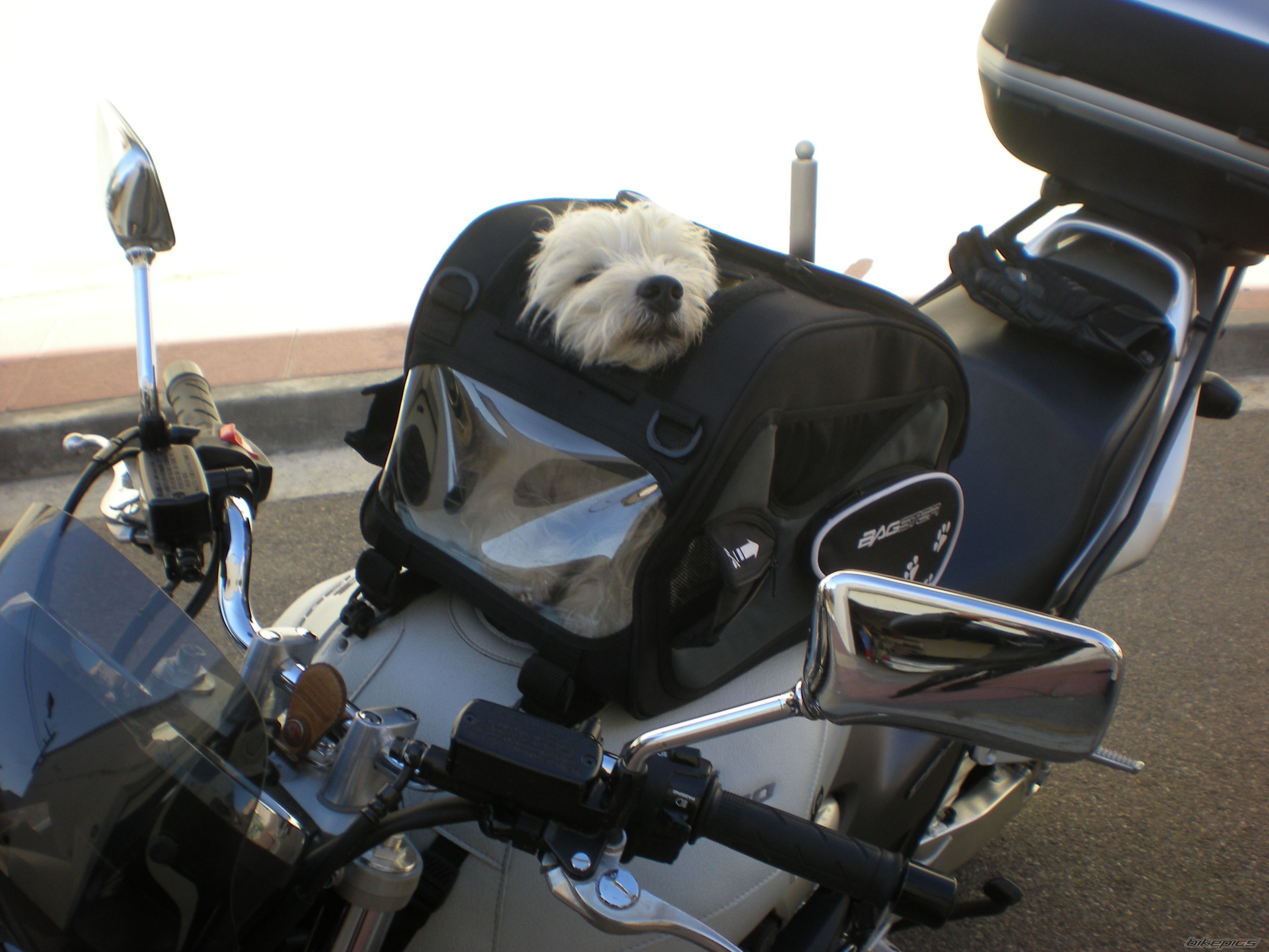 Photo 2264962