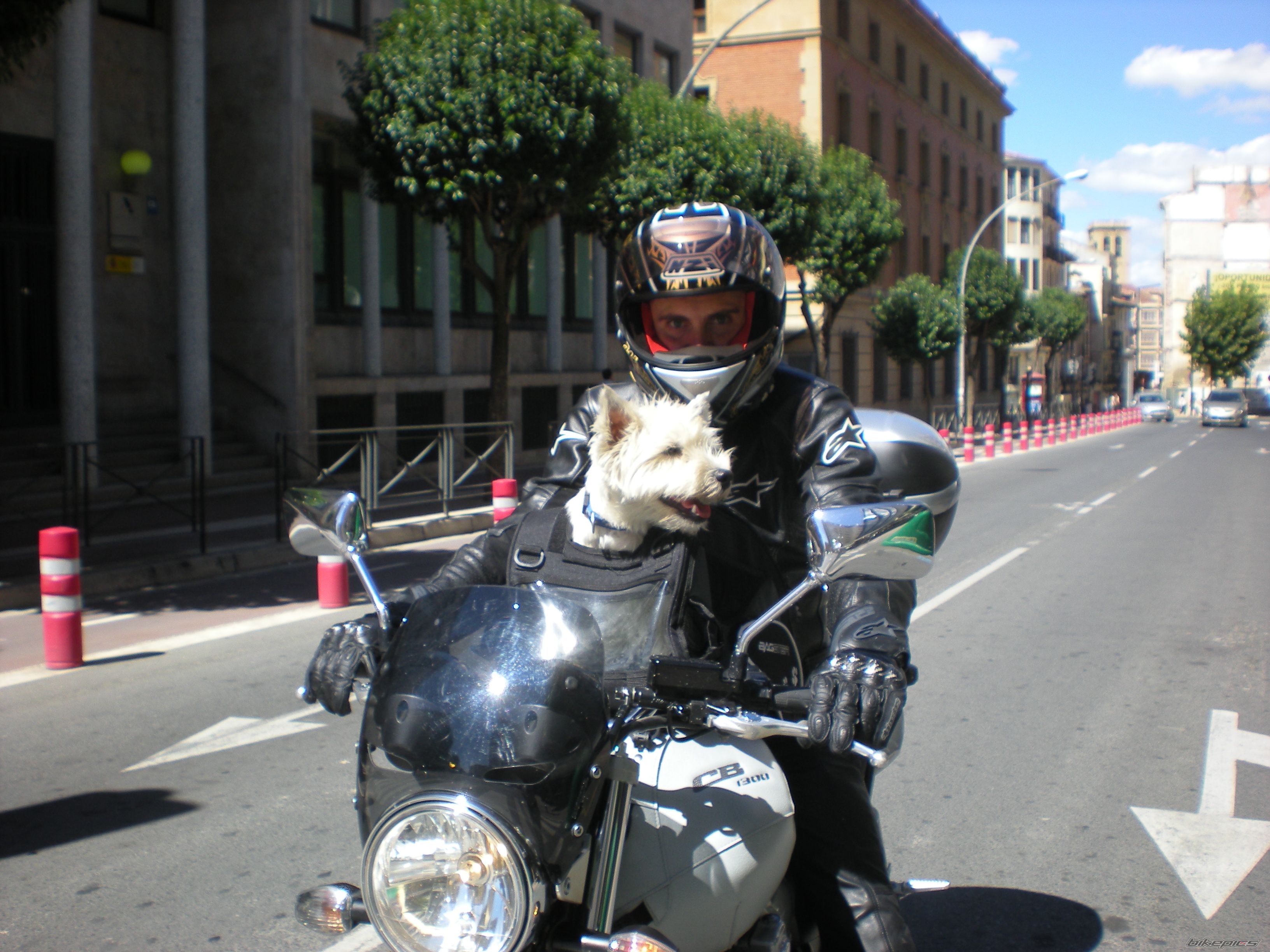 Photo 2264963