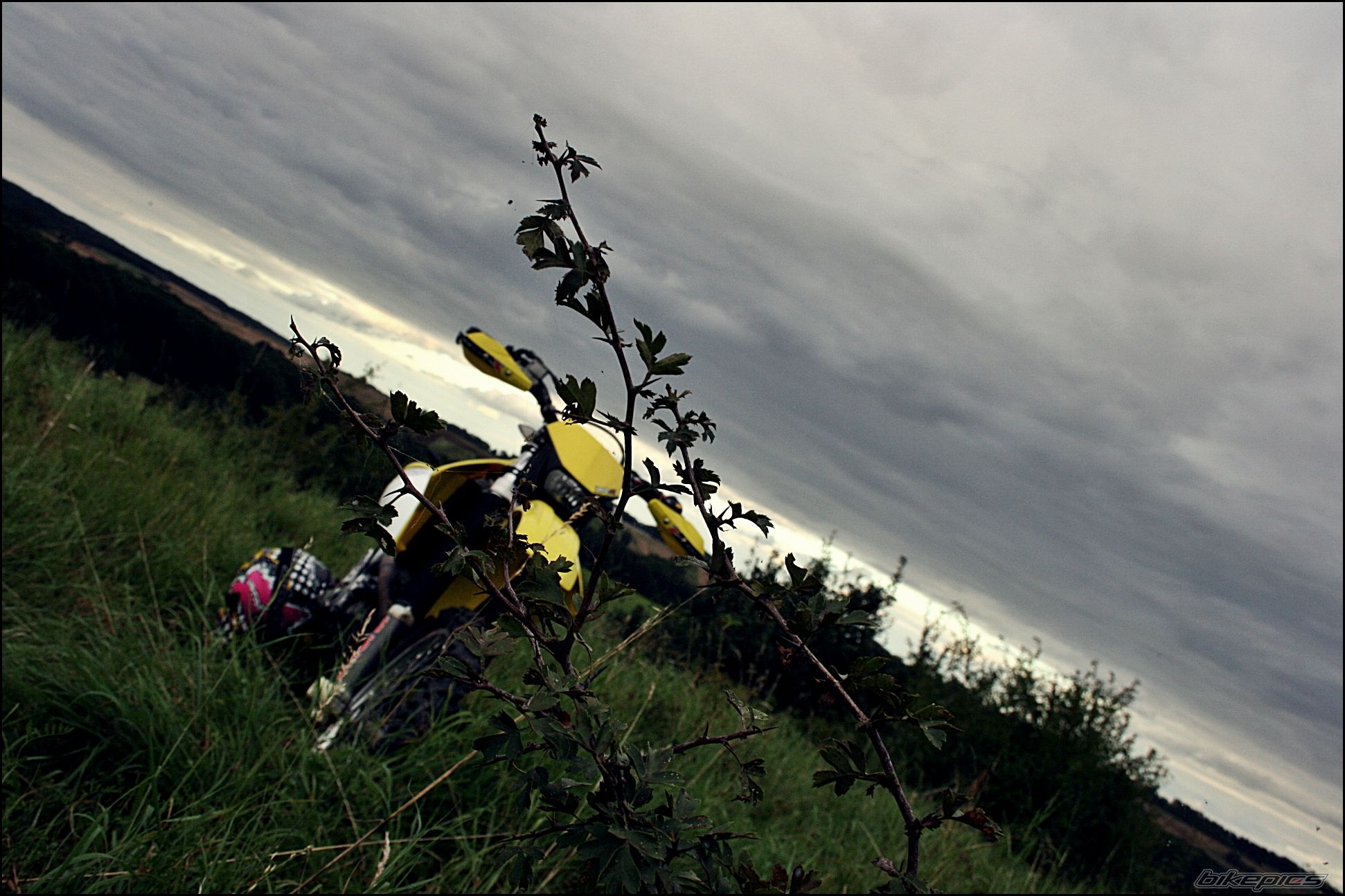 Photo 2264986