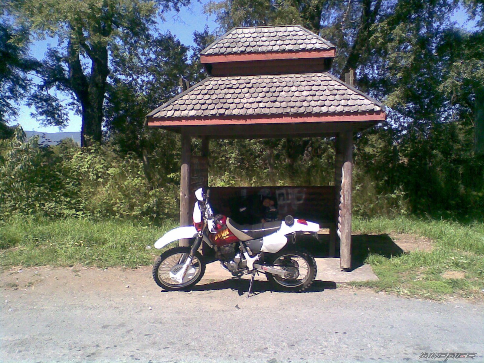 Photo 2265049