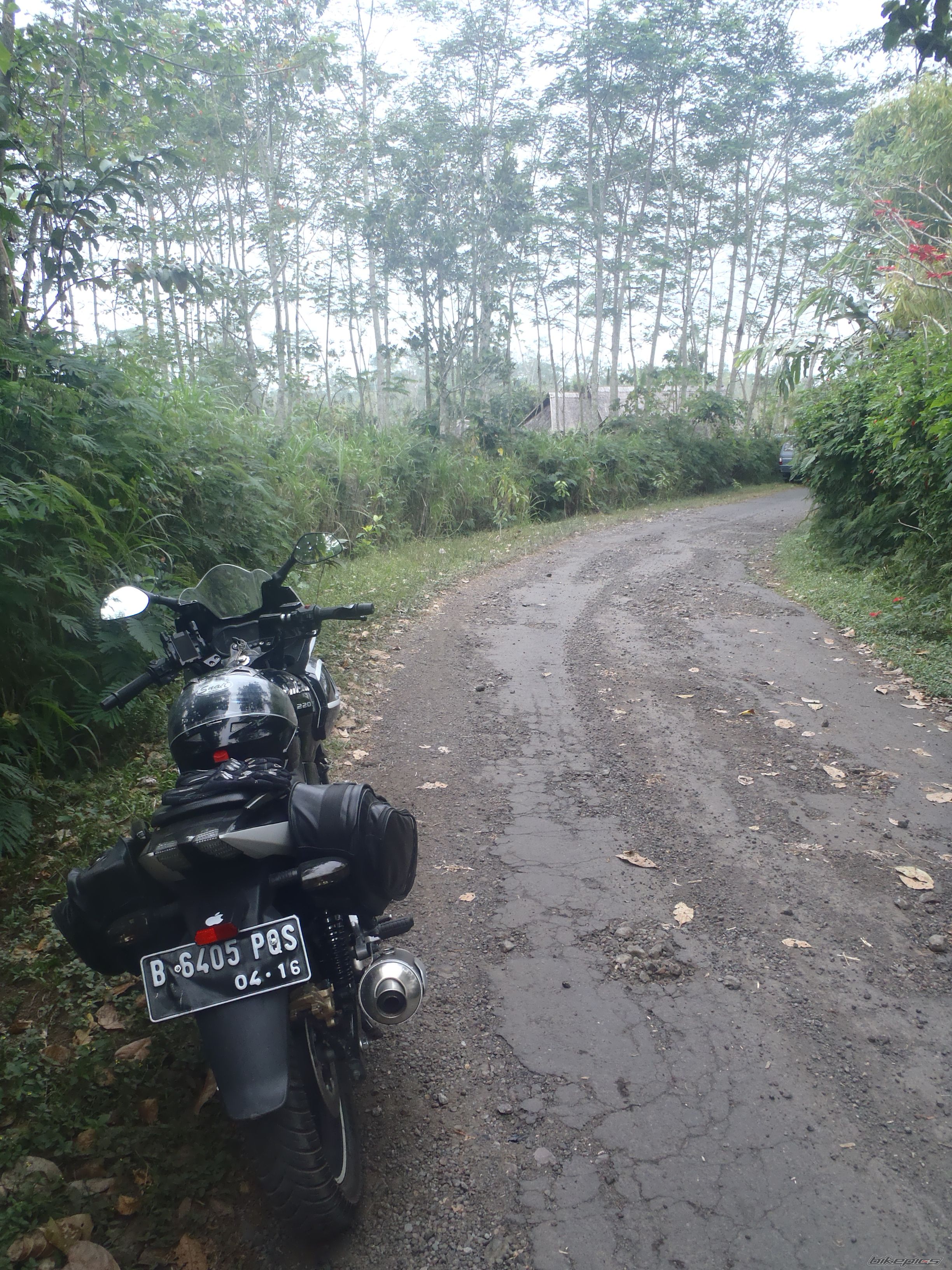 Photo 2265072