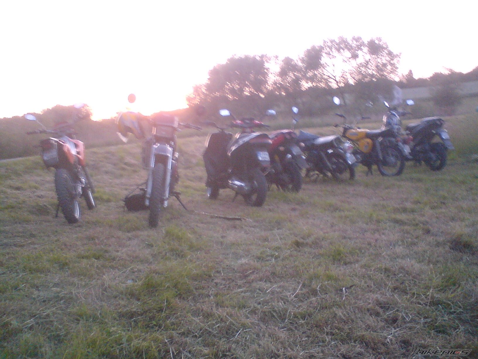 Photo 2265281