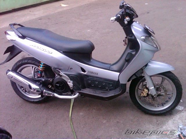 Photo 2265433