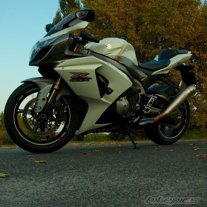 Photo 2265469