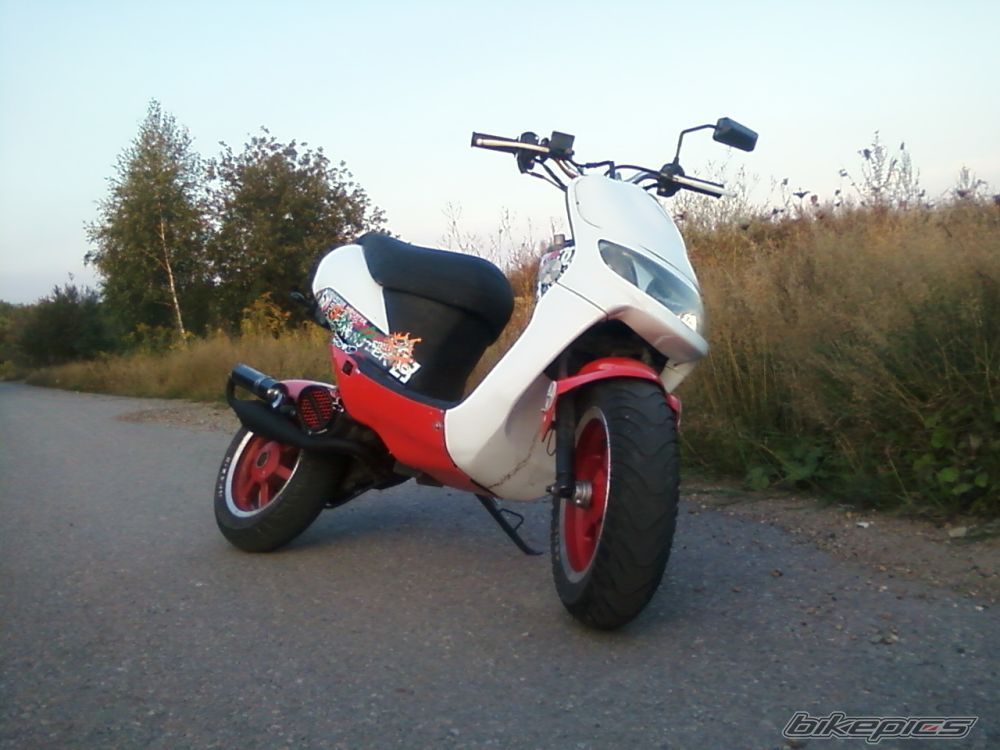 Photo 2265481