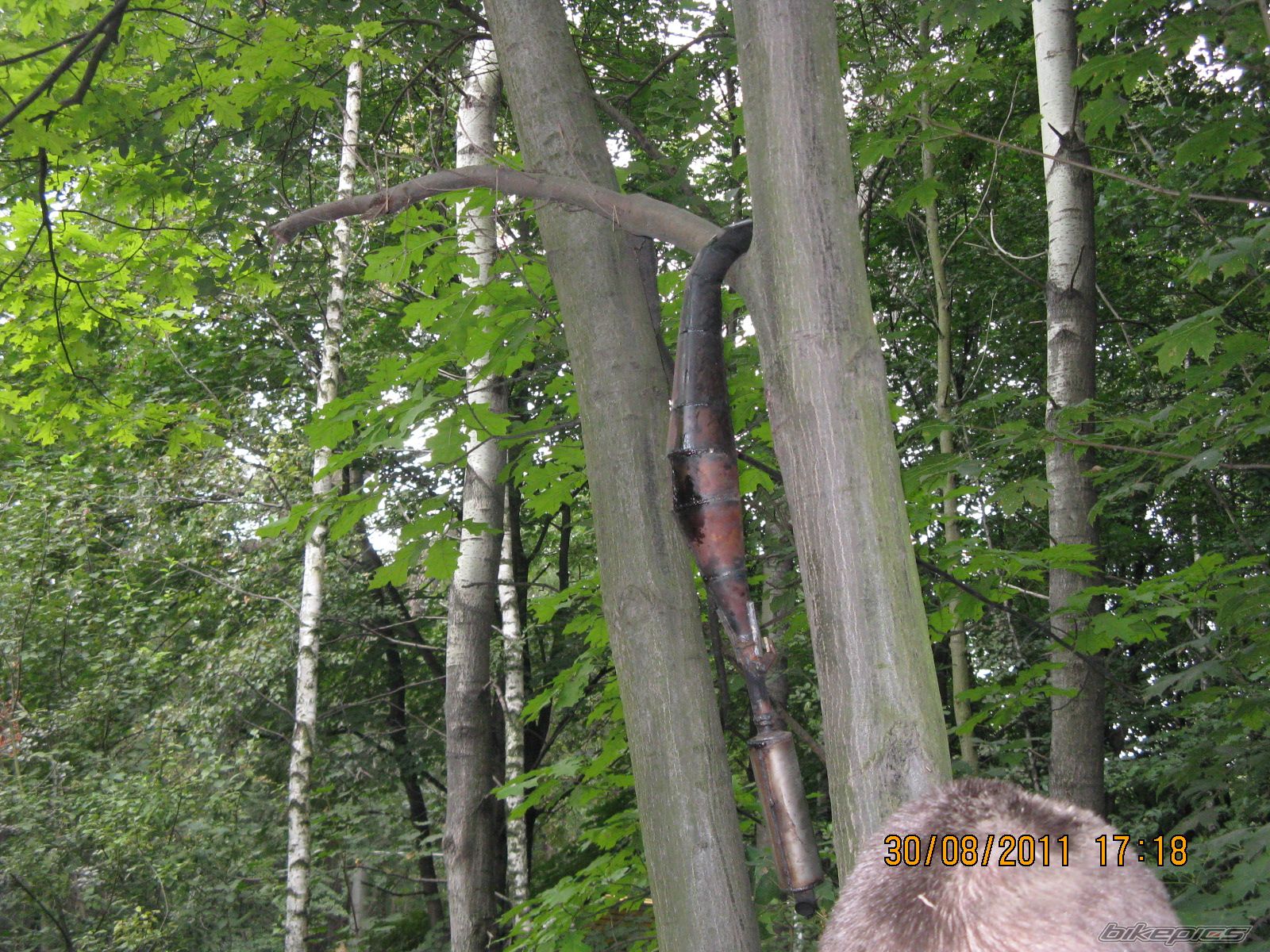 Photo 2265616