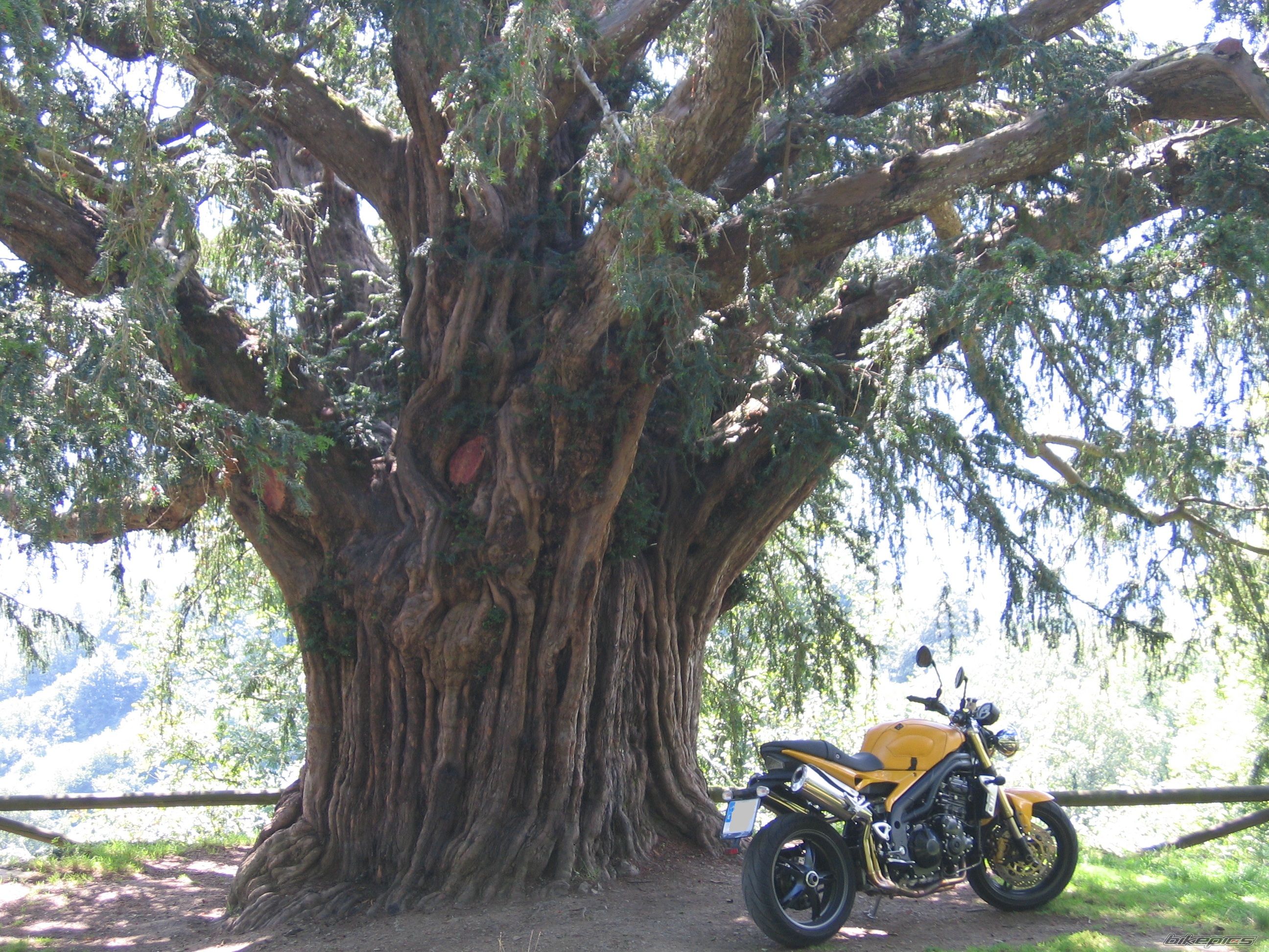 Bike Photo 2265632