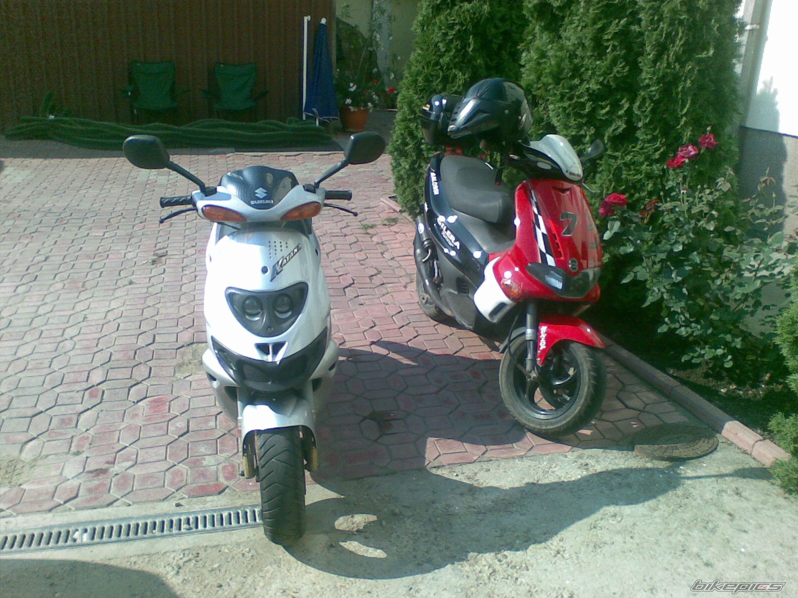 Photo 2265727