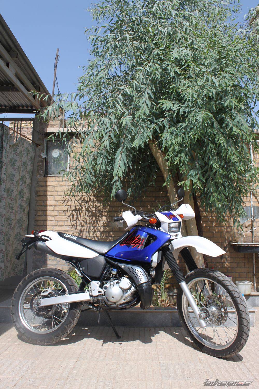 Photo 2265750