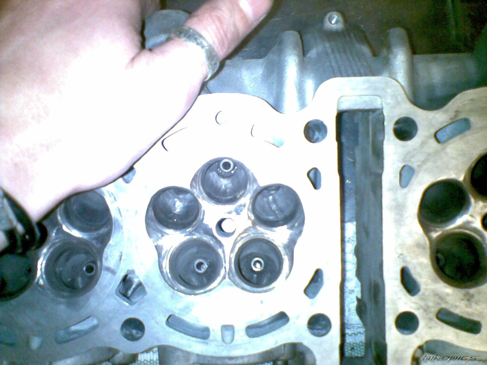 Photo 2265850