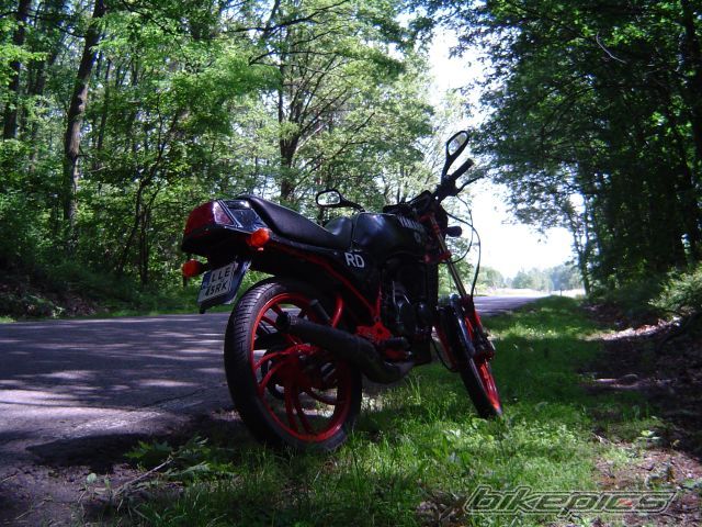 Photo 2265856