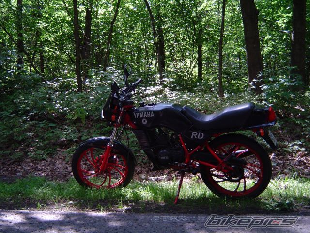 Photo 2265857