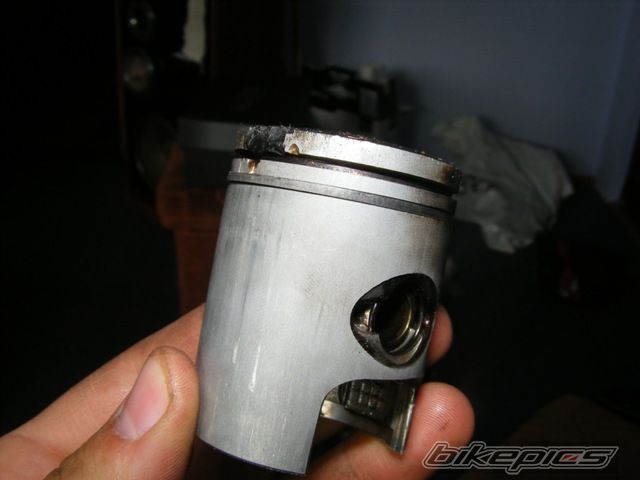 Photo 2265888