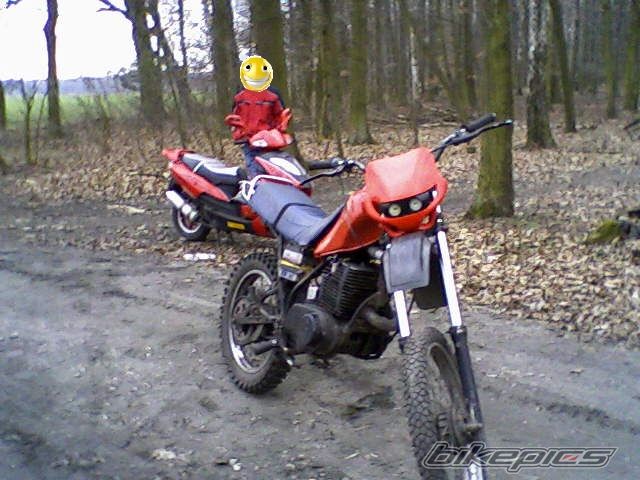 Photo 2265949