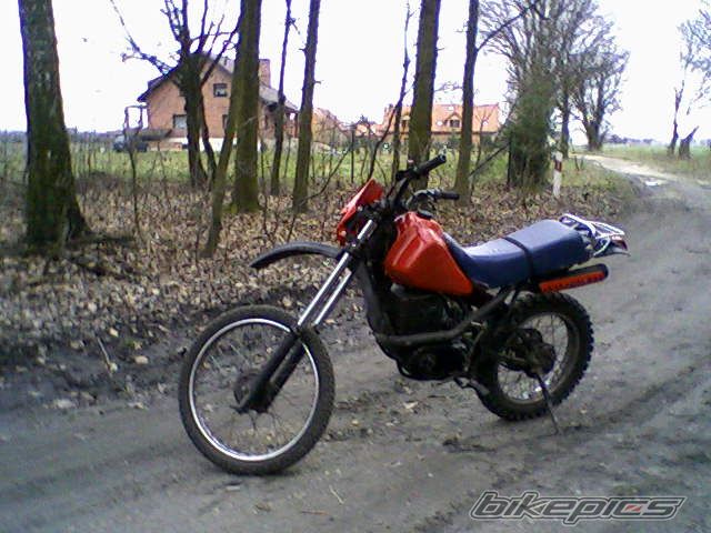 Photo 2265950