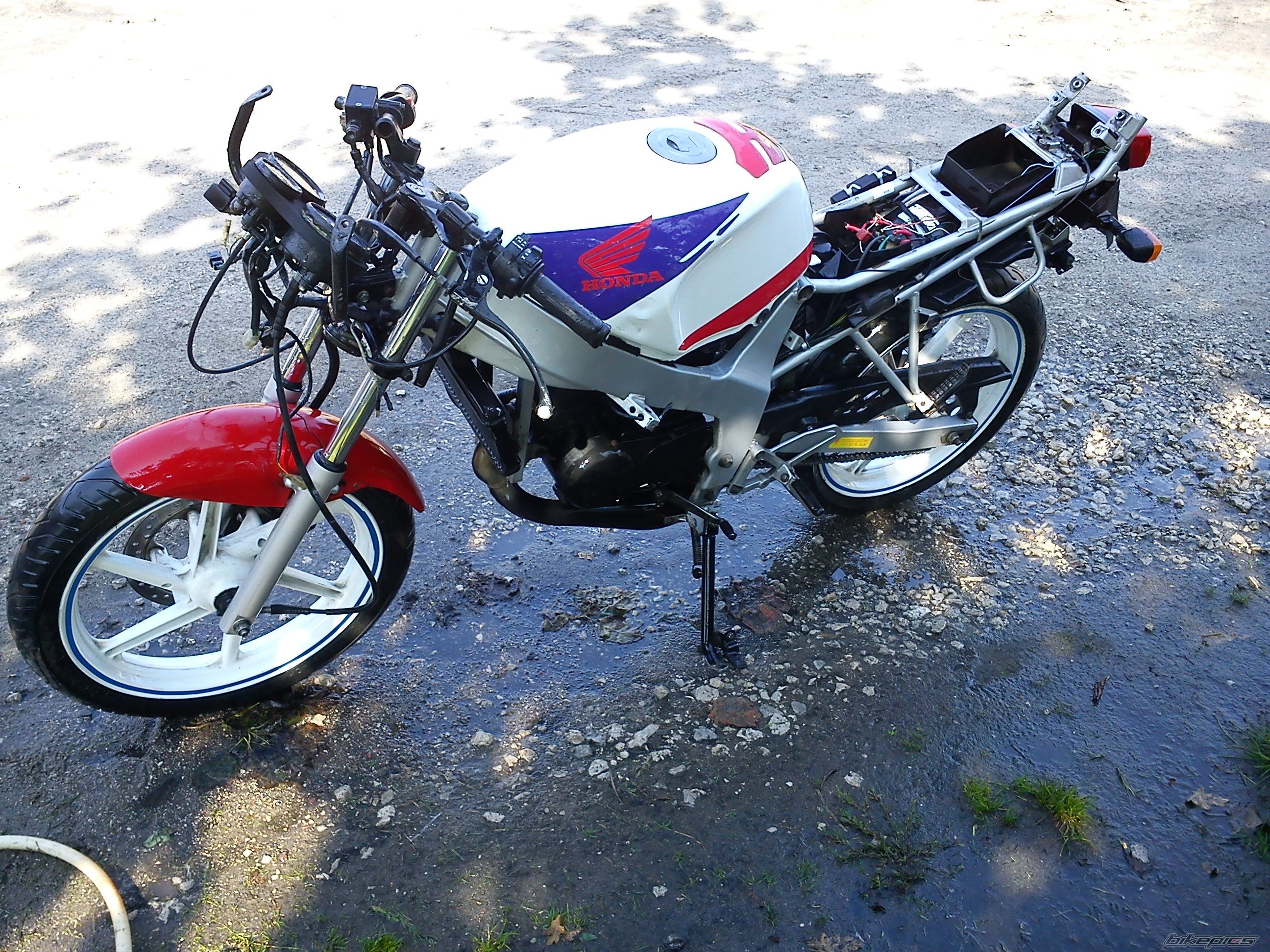 Photo 2265974