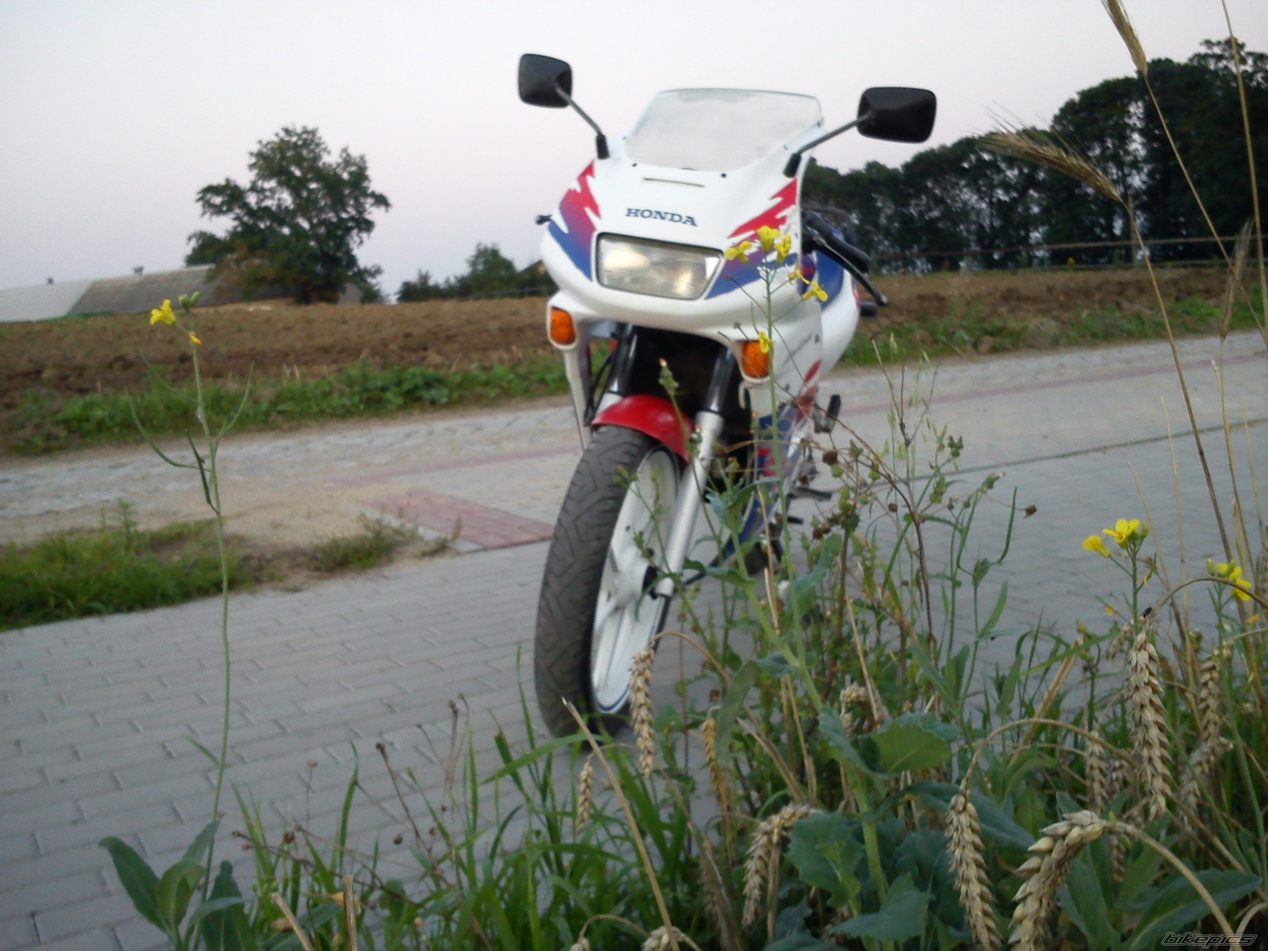 Photo 2265979
