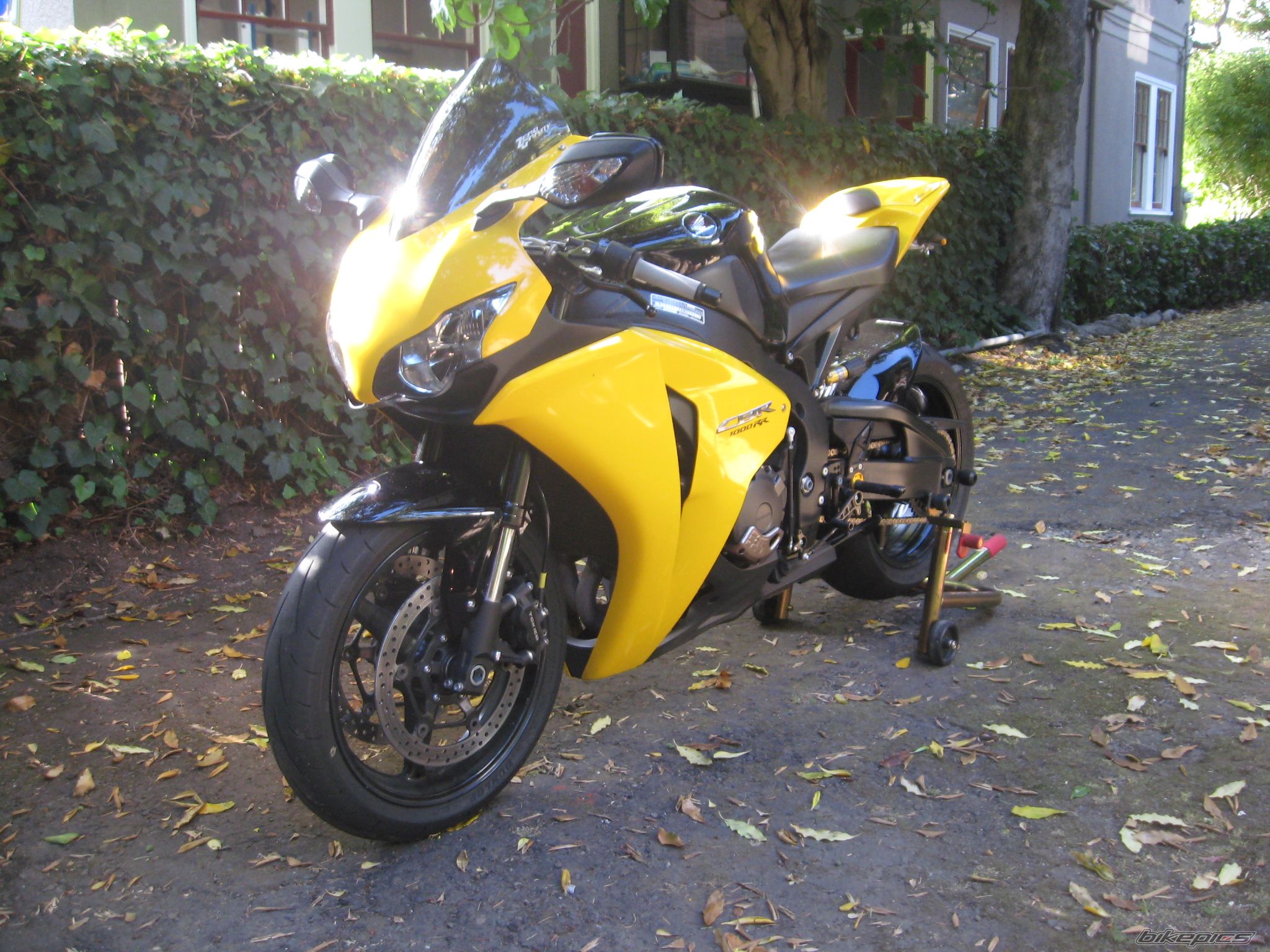 Photo 2266204