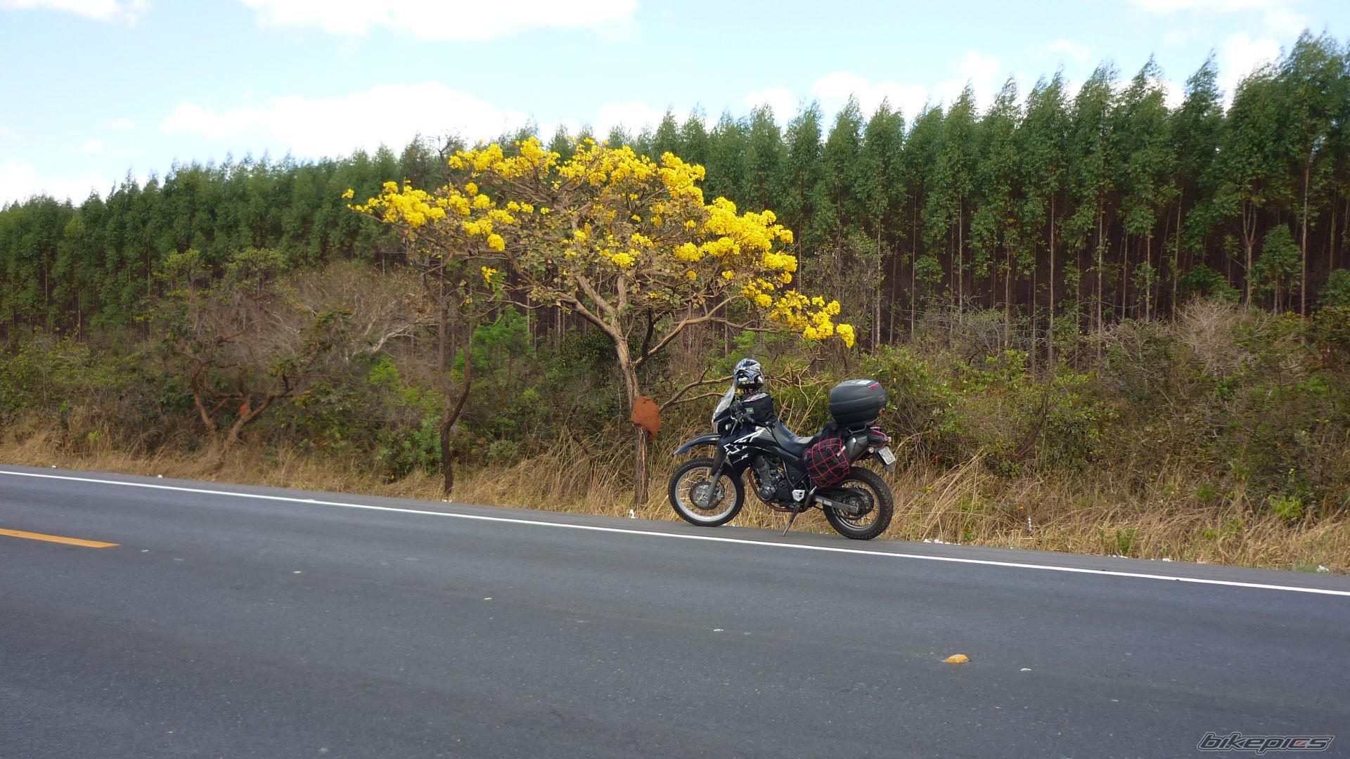 Photo 2266205