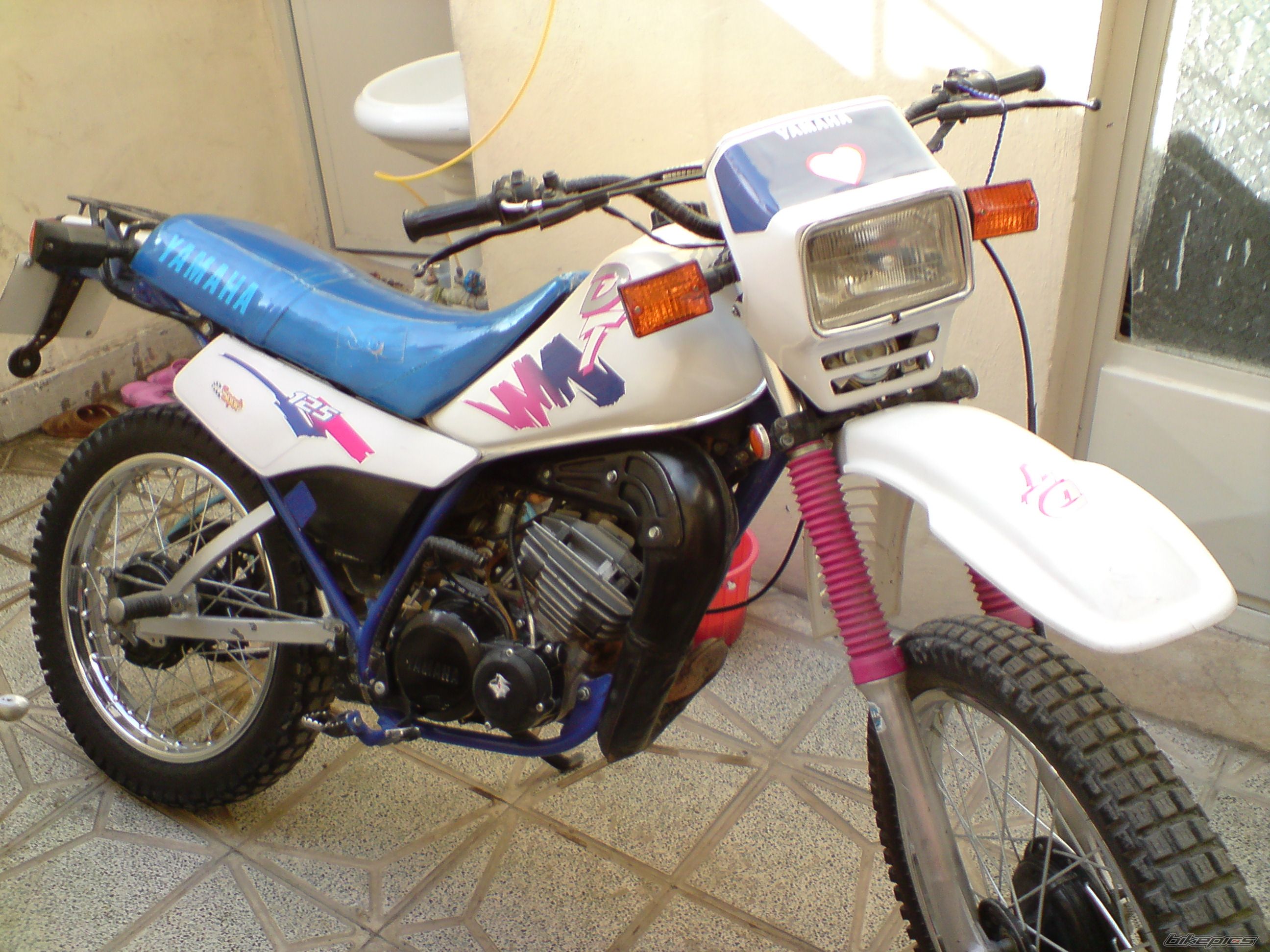 Photo 2266304