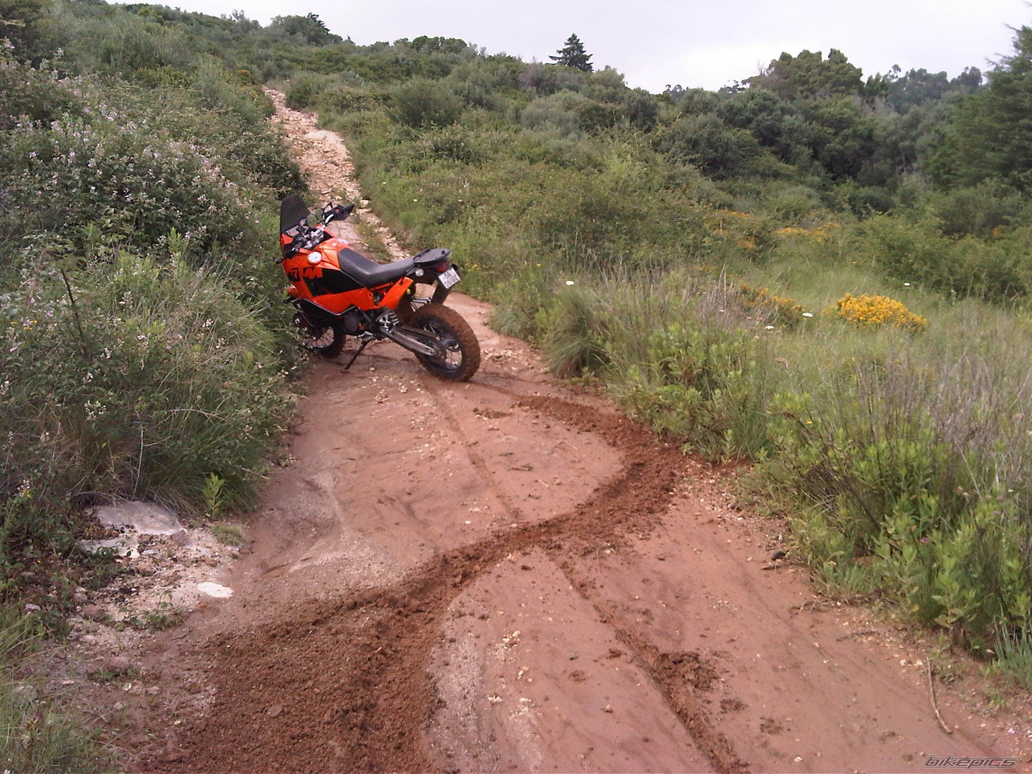 Photo 2266328