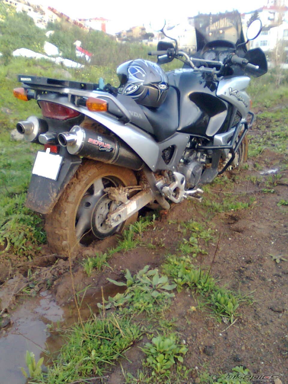 Photo 2266358