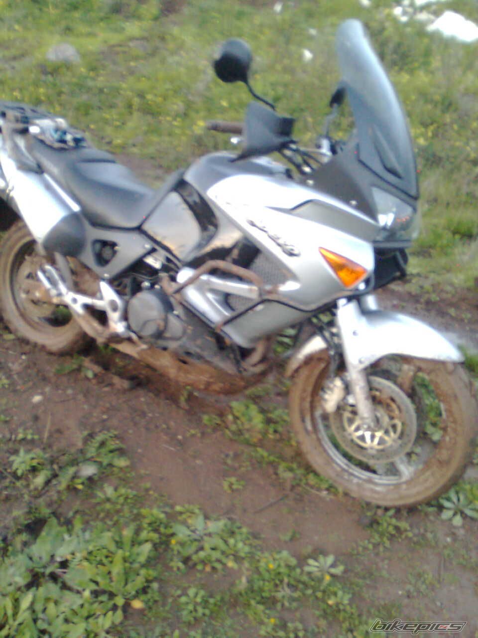 Photo 2266359