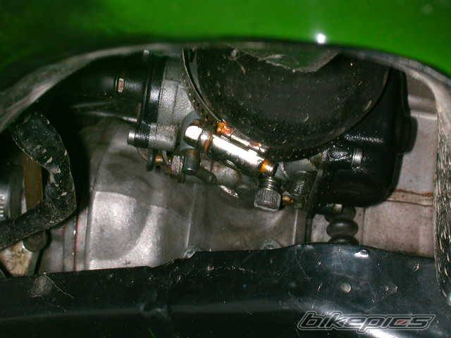 Photo 226637