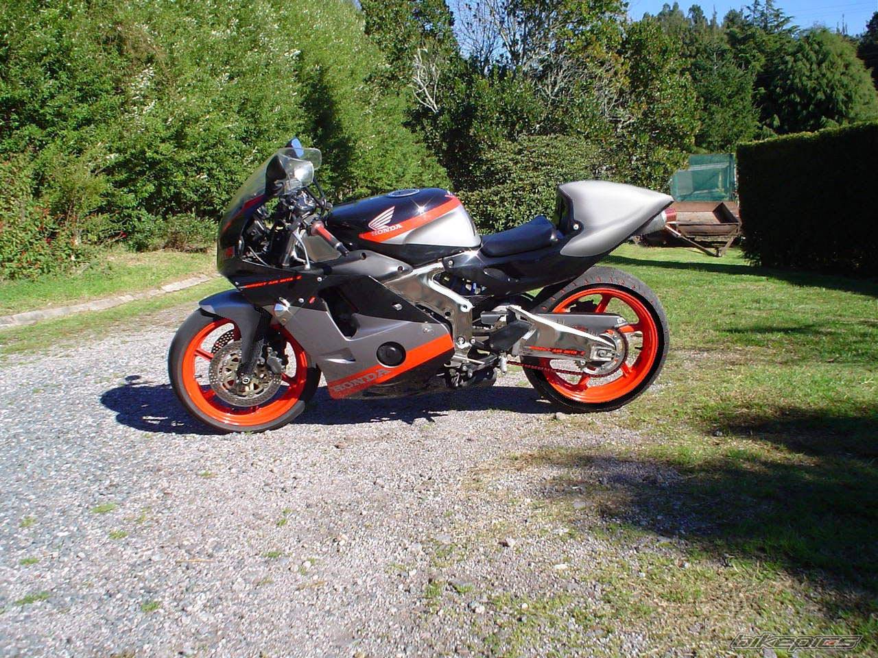 Photo 226638