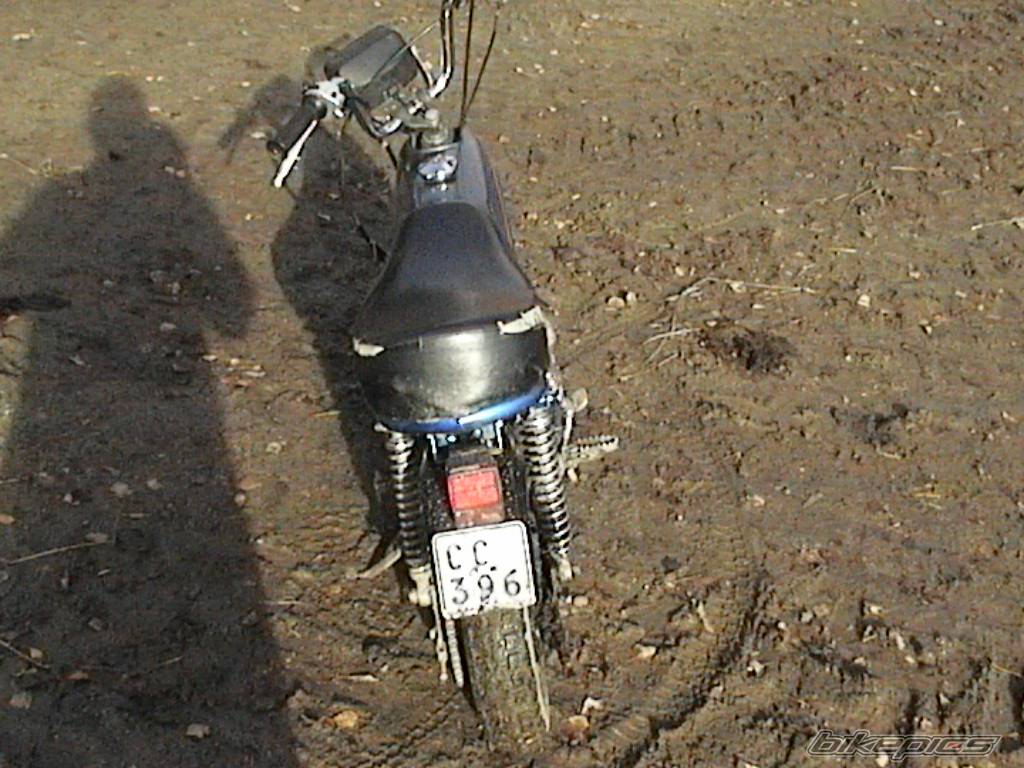 Photo 226649