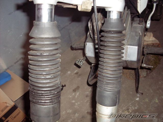 Photo 2266508