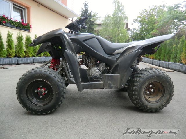 Photo 2266550