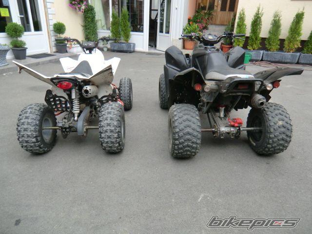 Photo 2266553