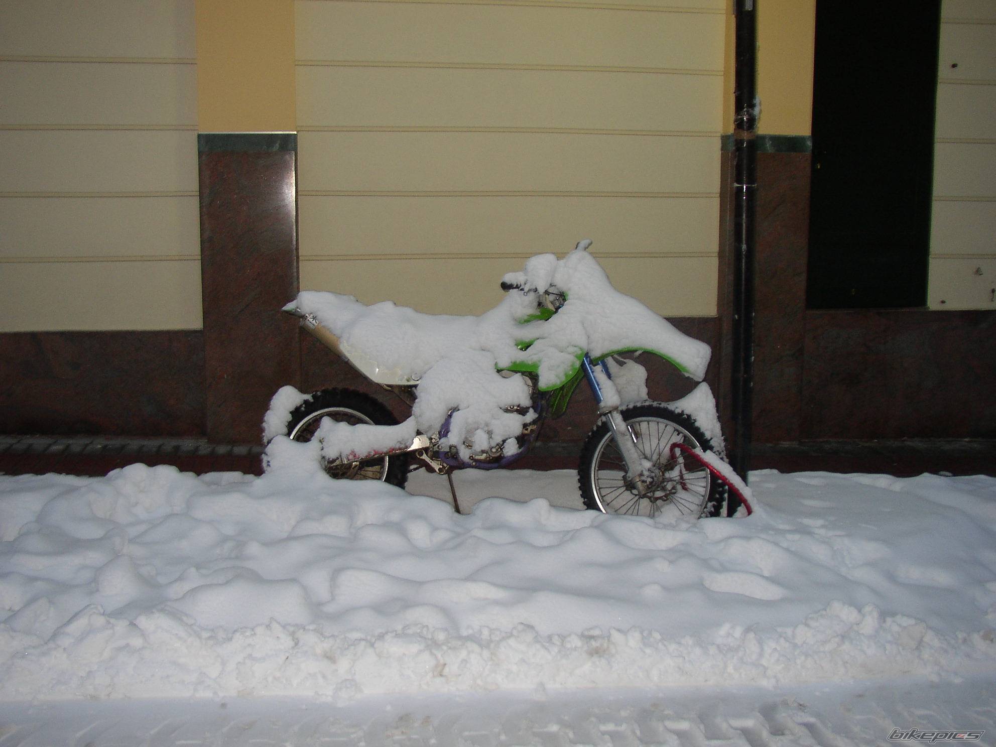 Photo 226671