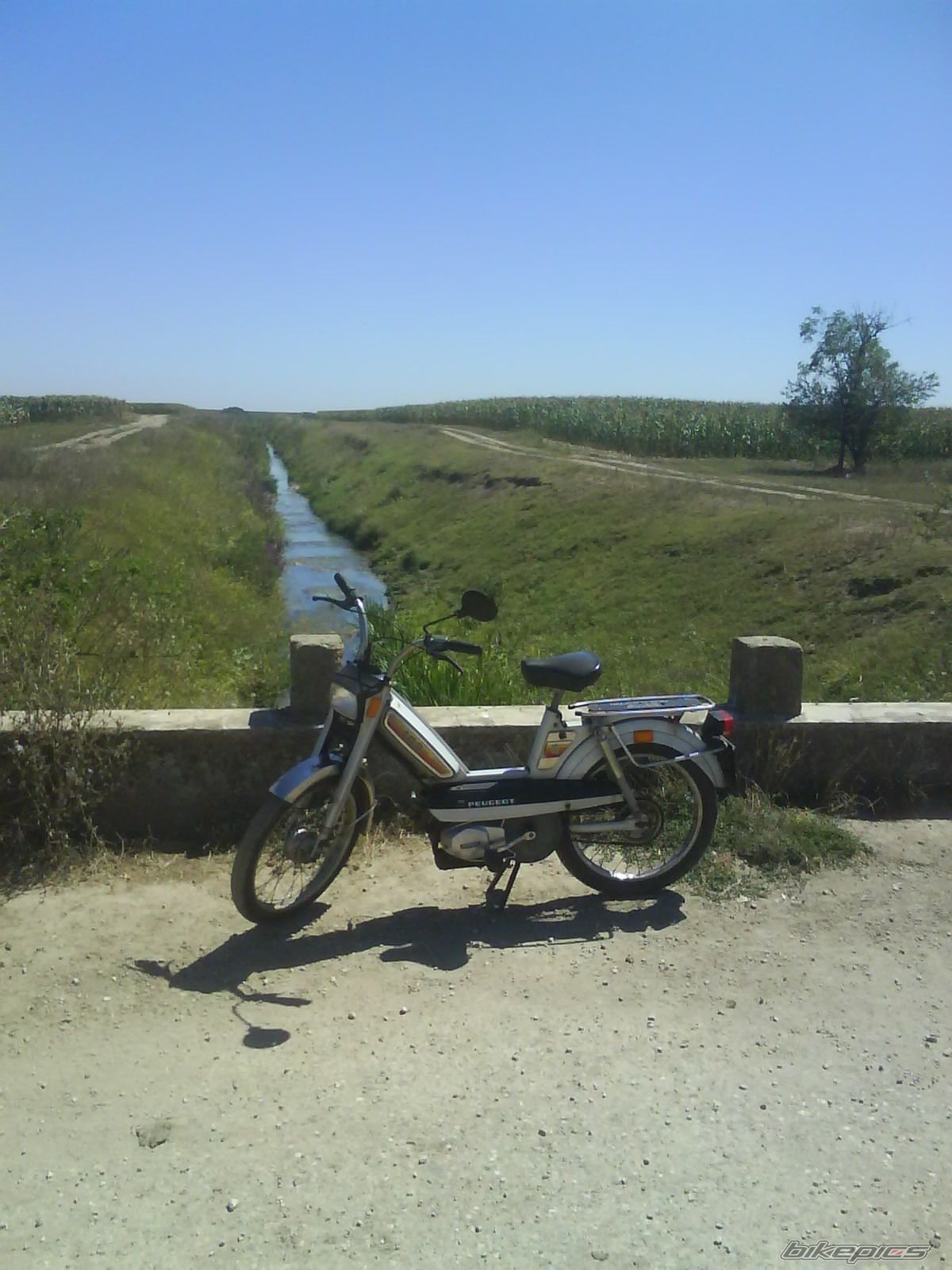 Photo 2266726
