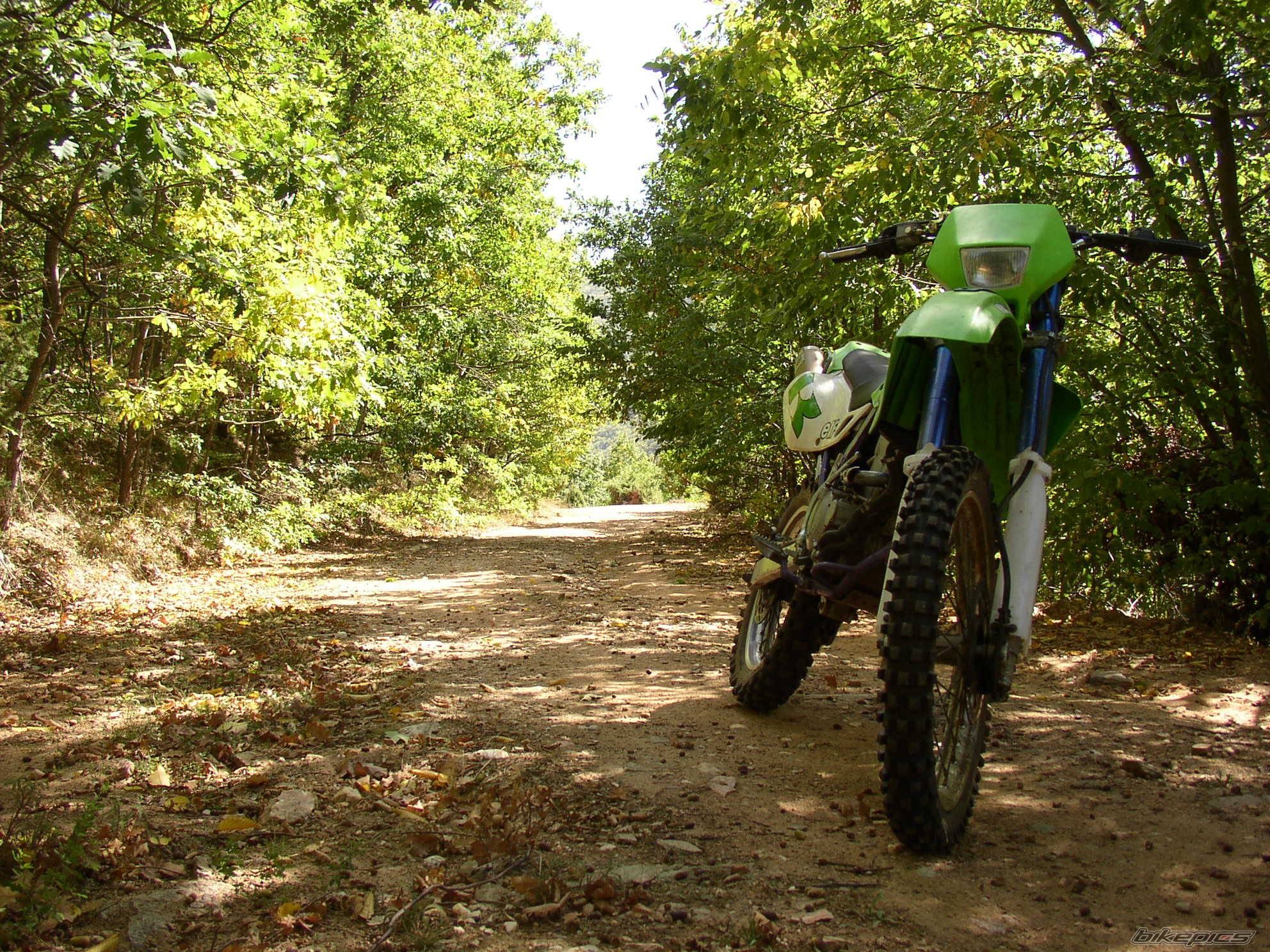 Photo 226673
